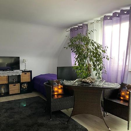 Ferienwohnung Pension Am Berg Villingen-Schwenningen Extérieur photo