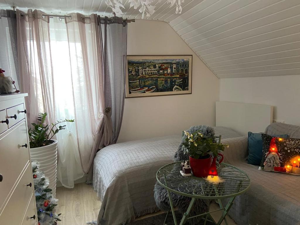 Ferienwohnung Pension Am Berg Villingen-Schwenningen Extérieur photo